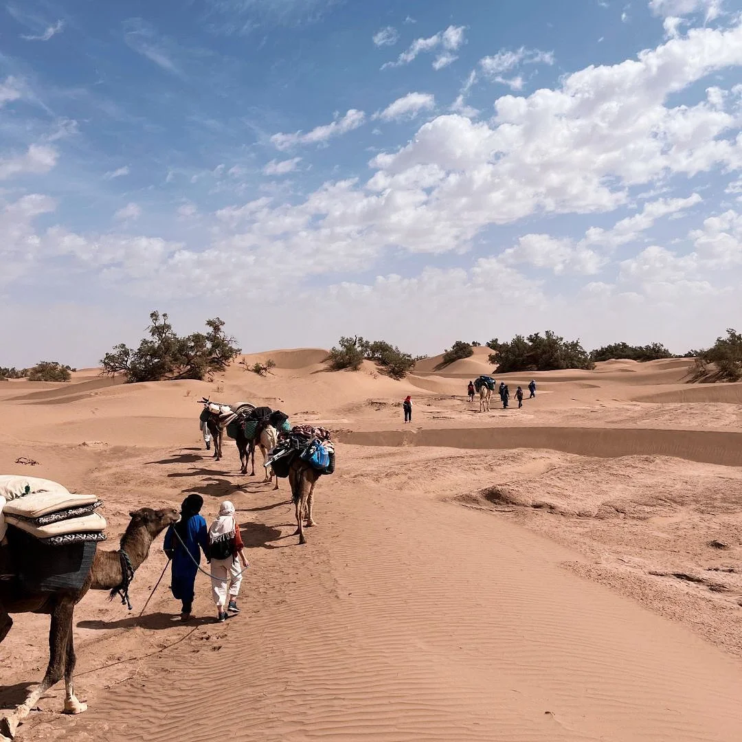 Explore Sahara Trekking desert Tours 2026