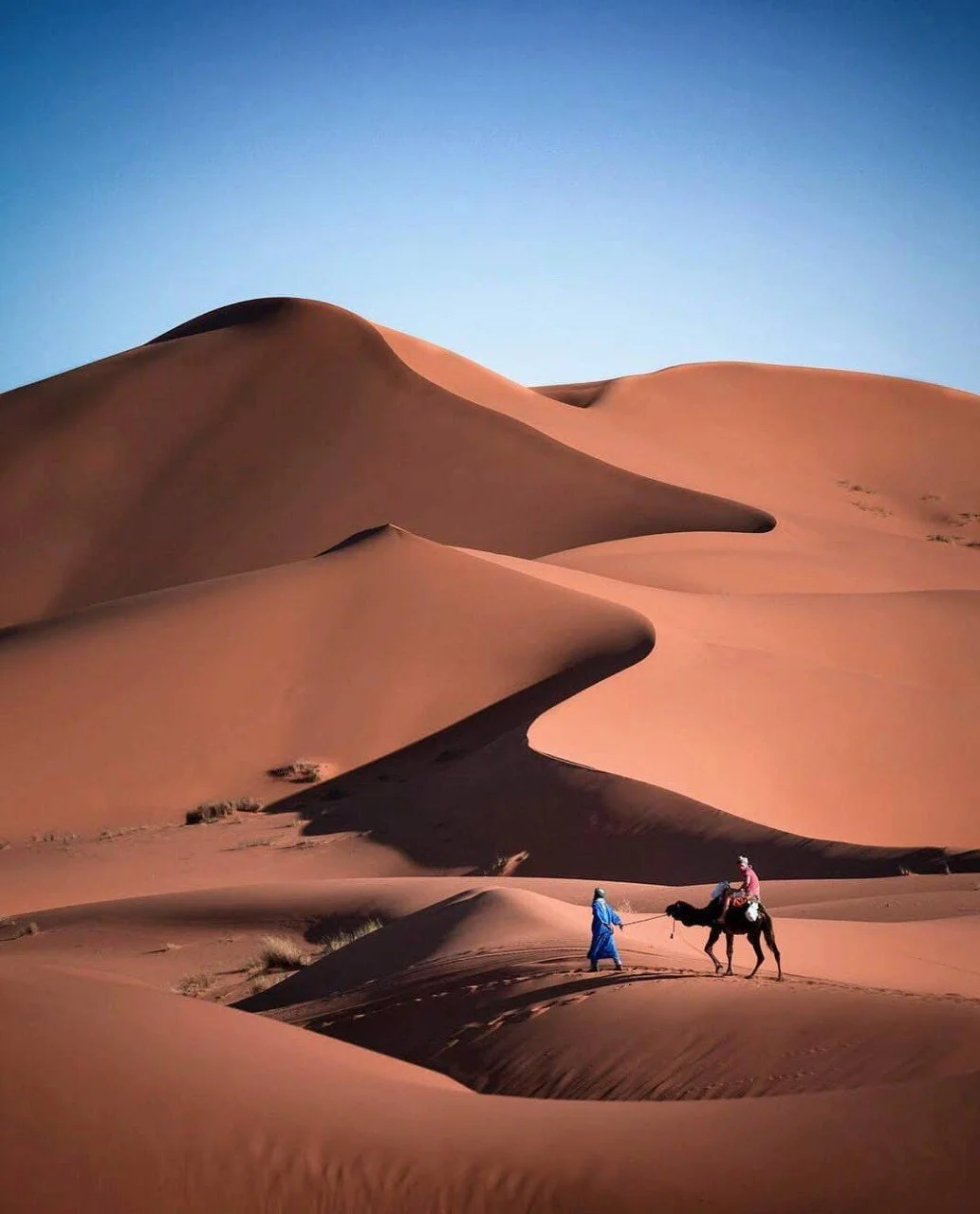6 Days Desert Trekking and Yoga in M’Hamid El Ghizlane Sahara retreat