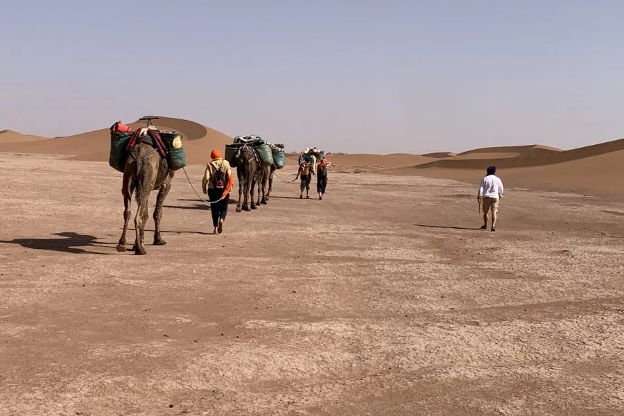 5 days trekking in M'Hamid El Ghizlane - golden Sahara journey