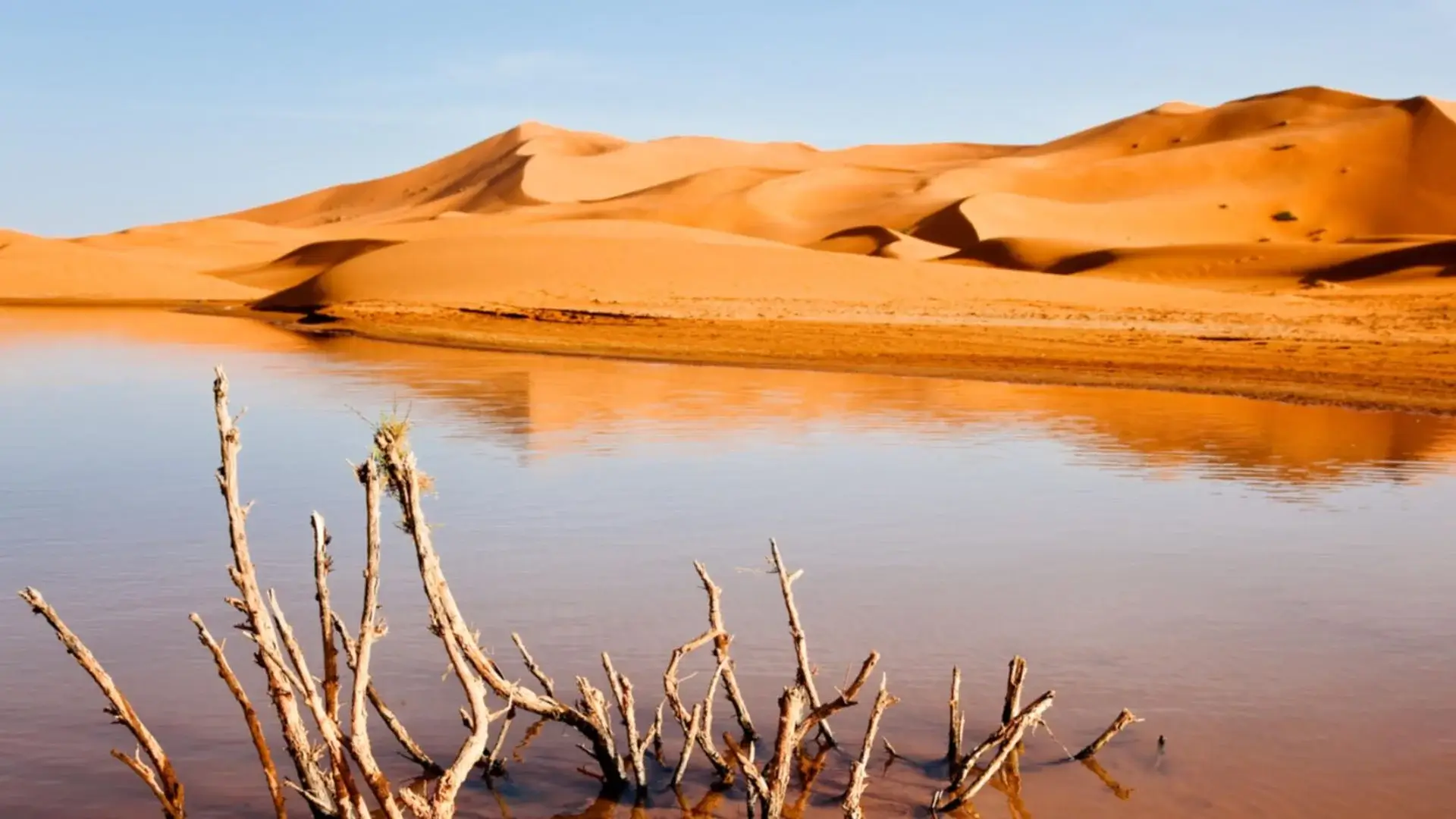 4x4 tour through the Moroccan desert