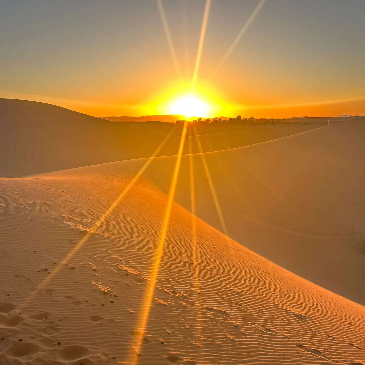 7 Days Trekking in M’Hamid El Ghizlane Sahara desert