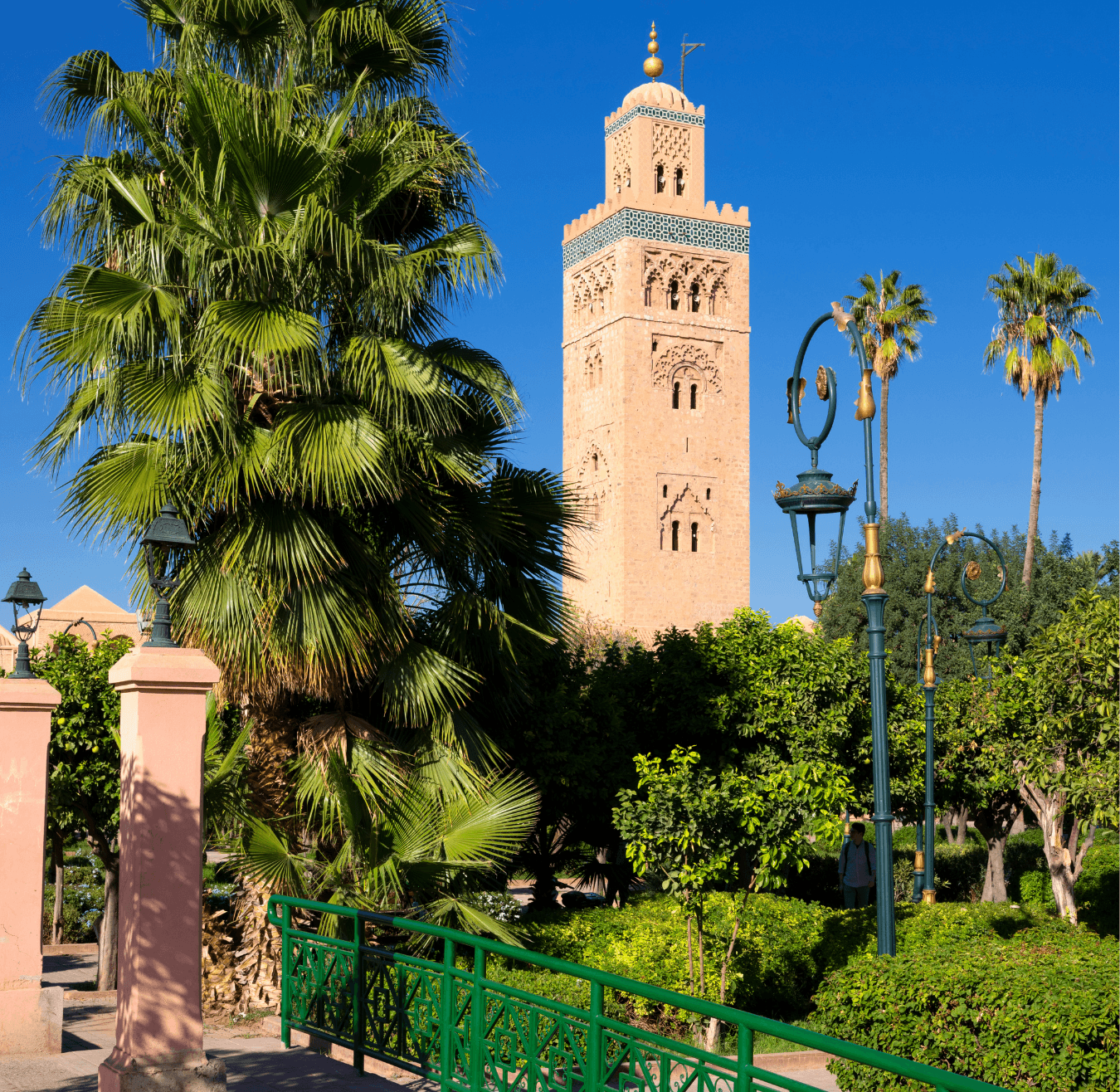 10 Days Trekking in M’Hamid El Ghizlane Sahara desert