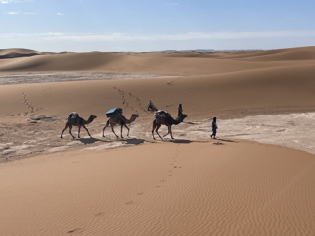 10 days trekking in M'Hamid El Ghizlane - deep Sahara expedition