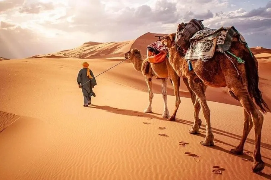Camel trek in the Moroccan Sahara