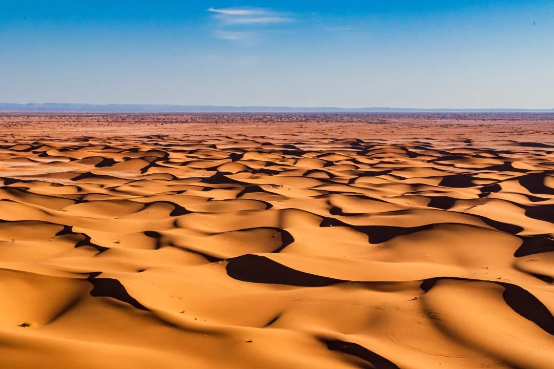 Explore Sahara Trekking Desert and Yoga 2026