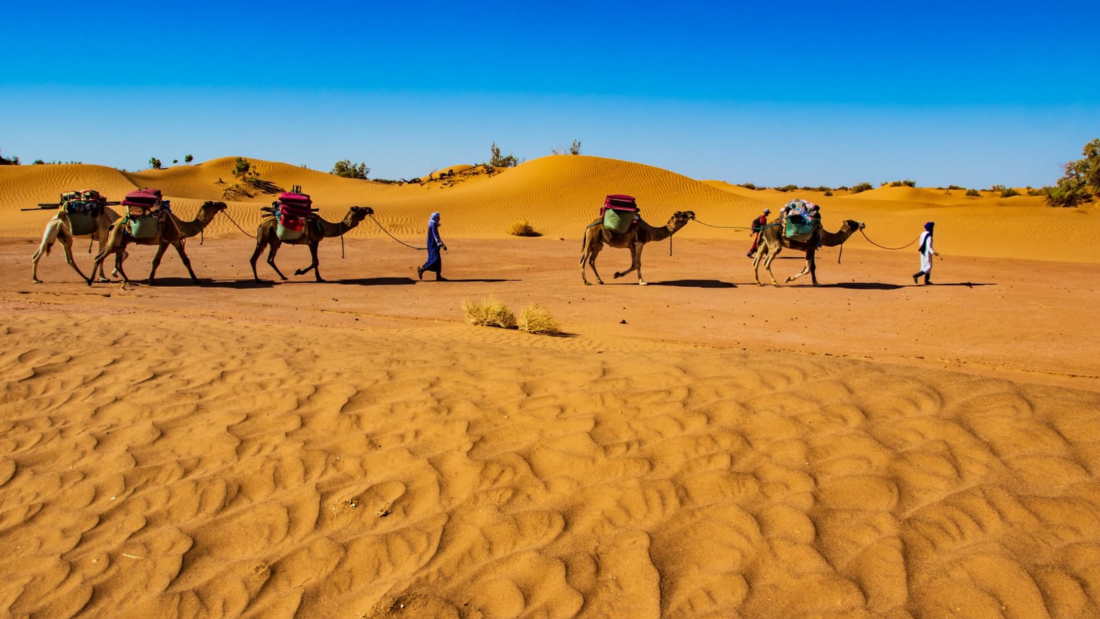 6 days trekking in M'Hamid El Ghizlane - deep Sahara expedition